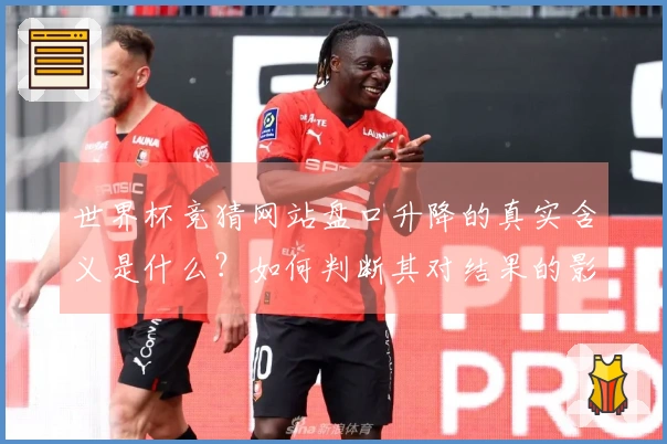 世界杯竞猜网站盘口升降的真实含义是什么？如何判断其对结果的影响？