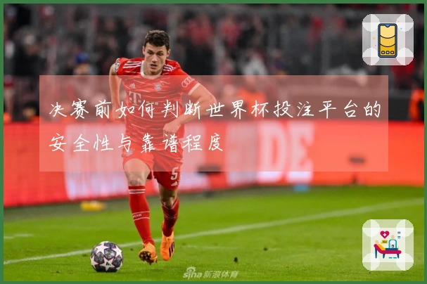 决赛前如何判断世界杯投注平台的安全性与靠谱程度