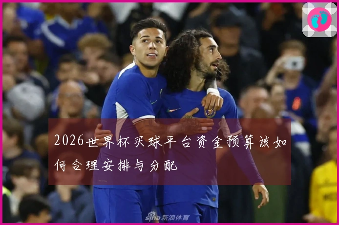 2026世界杯买球平台资金预算该如何合理安排与分配