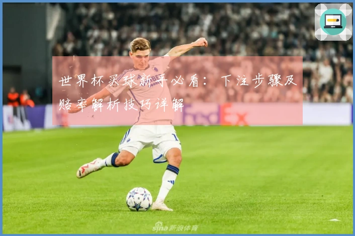 世界杯买球新手必看：下注步骤及赔率解析技巧详解