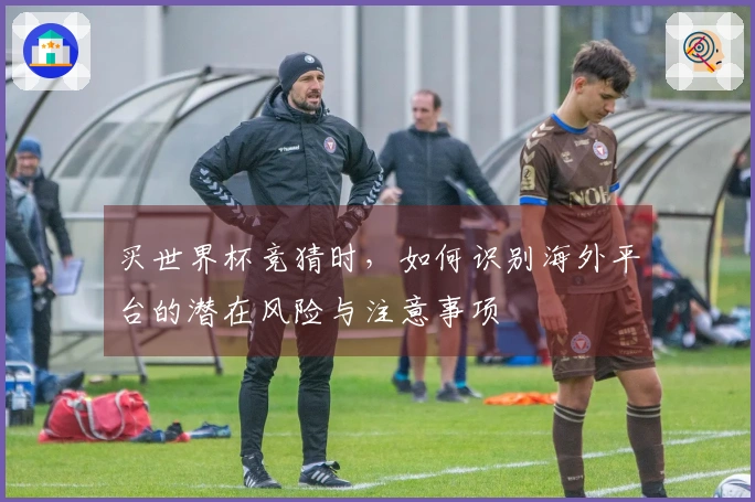 买世界杯竞猜时，如何识别海外平台的潜在风险与注意事项
