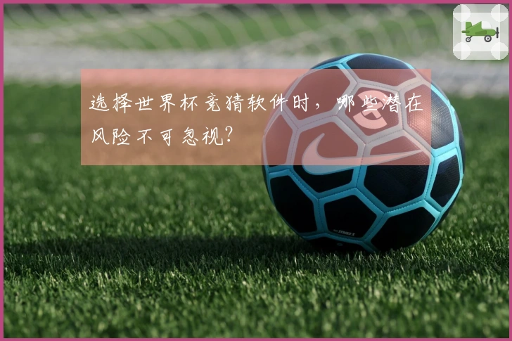 选择世界杯竞猜软件时，哪些潜在风险不可忽视？