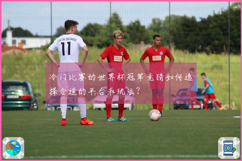 冷门比赛的世界杯冠军竞猜如何选择合适的平台和玩法？