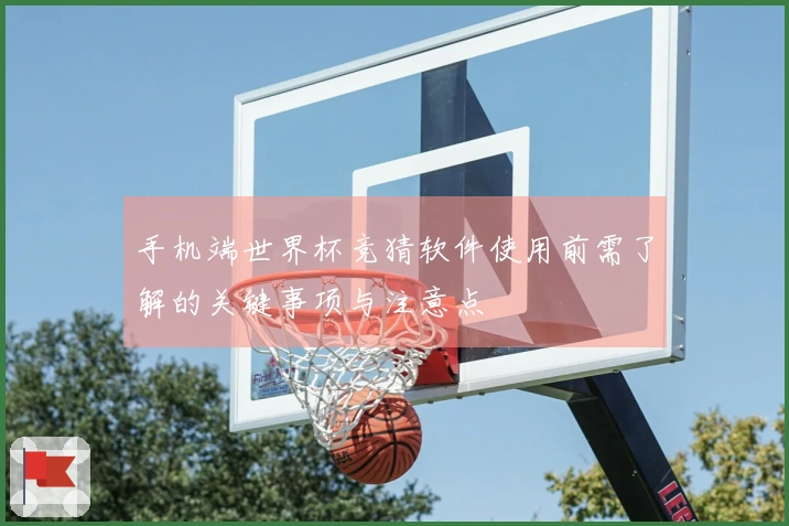 手机端世界杯竞猜软件使用前需了解的关键事项与注意点