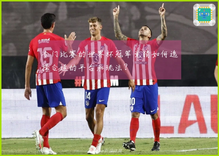 冷门比赛的世界杯冠军竞猜如何选择合适的平台和玩法？