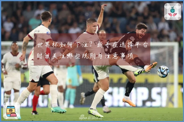 世界杯如何下注？新手在选择平台时该关注哪些规则与注意事项